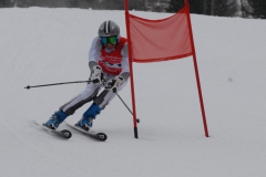 VASINA_SANDRO_2GS