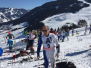 SKI WORLD-CUP OF MEDICAL DOCTORS AND PHARMACISTS 2016